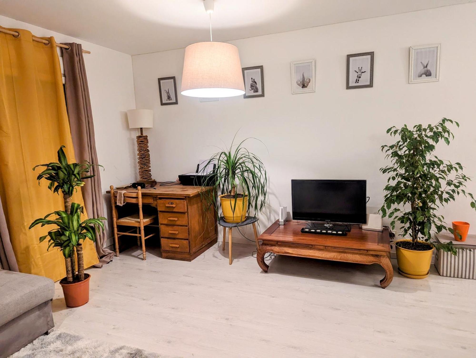 Appartement Cocooning ペルピニャン エクステリア 写真